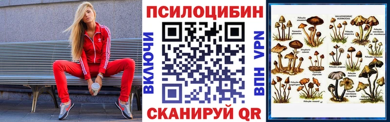 Галлюциногенные грибы Psilocybine cubensis  Яранск 